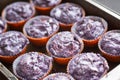 Prepare gluten free blueberries muffin. Raw lilac dough in baking tins Royalty Free Stock Photo