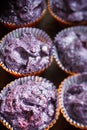 Prepare gluten free blueberries muffin. Raw lilac dough in baking tins Royalty Free Stock Photo