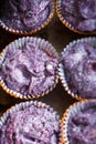 Prepare gluten free blueberries muffin. Raw lilac dough in baking tins Royalty Free Stock Photo