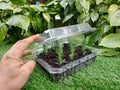 How to make recycled seedbeds, with cardboard or egg cups, other recycled materials Royalty Free Stock Photo