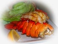 Prepared and cooked lobster tail starter Royalty Free Stock Photo