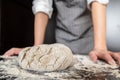 Prepared dough lies on the table sprinkled with flour, against the background of the baker hands. Bread making.