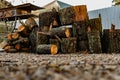 Prepared firewood for the grill and stove. Sawn down thick and thin tree trunks, wet and wet logs, stacked on rubble