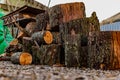 Prepared firewood for the grill and stove. Sawn down thick and thin tree trunks, wet and wet logs, stacked on rubble Royalty Free Stock Photo