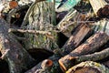 Prepared firewood for the grill and stove. Sawn down thick and thin tree trunks, wet and wet logs, stacked on rubble