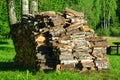 Prepared firewood for the winter heating period, energy crisis