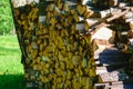 Prepared firewood for the winter heating period, energy crisis