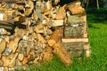 Prepared firewood for the winter heating period, energy crisis