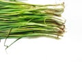 Prepared Green leek vegetables Begins to shrivel most of the time Placed on a white background and copy space for text