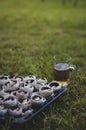 Prepared portabella mushrooms stuffed with cheese and a mug of beer on a lawn