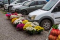 Prepared for sale at a street fair, bright autumn flowers are housed in large boxes.