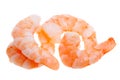 Prepared shrimp isolated