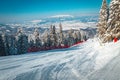 Prepared ski slope and snowy pine forest in the Carpathians Royalty Free Stock Photo