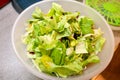 Prepared and sliced fresh green salad in a big gray plastic bowl ready to use and tasting in kitchen. Healthy organic meal. Royalty Free Stock Photo