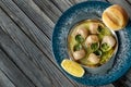 Prepared snails with butter sauce, white bread and spice on white salty plate. Snails baked with sauce, Escargot Snails Royalty Free Stock Photo