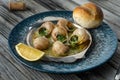 Prepared snails with butter sauce, white bread and spice on white salty plate. Snails baked with sauce, Escargot Snails Royalty Free Stock Photo