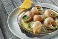 Prepared snails with butter sauce, on white salty plate on wooden background. Snails baked with sauce, Escargot Snails. Royalty Free Stock Photo