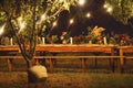 Prepared table for a rustic outdoor dinner at night with wineglasses, flowers and lamps