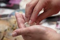 Preparing asian dumplings