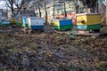 Freeze on the ground on apiary in winter. Warm days in December. Putting hives for transfer to winter. Freeze on apiary with honey