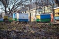 Freeze on the ground on apiary in winter. Warm days in December. Putting hives for transfer to winter. Freeze on apiary with honey