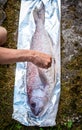 Preparing big dentex fish for barbecue cooking on picnic outside Royalty Free Stock Photo