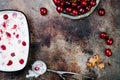 Preparing Black Forest roasted cherry ice cream sandwiches with chocolate chip cookies. Copy space, overhead Royalty Free Stock Photo