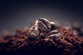 Preparing coffee close up. Coffee beans on a pile of ground coffee. Royalty Free Stock Photo