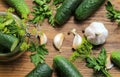 Preparing cucumbers for pickling Royalty Free Stock Photo