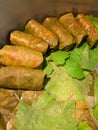 dolma, rice with meat wrapped in grape leaves, grape leaf rolls, grape leaf rolls arranged in a pot Royalty Free Stock Photo