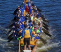 Preparing for the 2016 Dragon Boat Festival Royalty Free Stock Photo