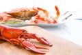 Preparing Dungeness Crab and Red Lobster Royalty Free Stock Photo