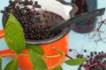 Preparing elderberry drink in orange pot.