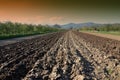Preparing field for planting Royalty Free Stock Photo