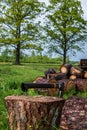 Preparing firewood with axe