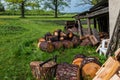 Preparing firewood in rural countryside