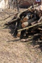 Preparing firewood for the winter