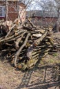 Preparing firewood for the winter