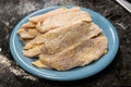 Preparing Fish Fillet Pan Frying