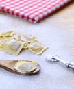 Preparing fresh ravioli. Royalty Free Stock Photo