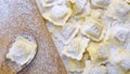 Preparing fresh ravioli. Royalty Free Stock Photo