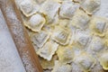 Preparing fresh ravioli. Royalty Free Stock Photo