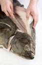 Preparing fresh turbot Royalty Free Stock Photo
