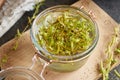 Preparing gemmotherapy tincture from fresh young willow branches with buds Royalty Free Stock Photo