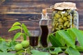 Preparing green walnut liqueur Royalty Free Stock Photo
