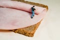 Preparing A Ham Sandwich