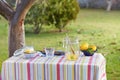 Preparing homemade lemonade in garden