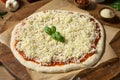 Preparing Homemade Uncooked Cheese PIzza