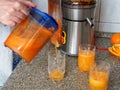 Preparing juice from fresh fruits and vegetables Royalty Free Stock Photo