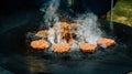 Preparing juicy beef hamburger patties . BBQ meat sizzling over hot flames Royalty Free Stock Photo